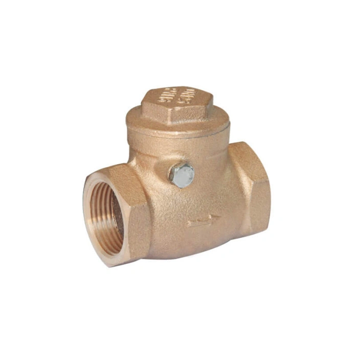 1723531859thumb_900_694_bronze-swing-check-valve
