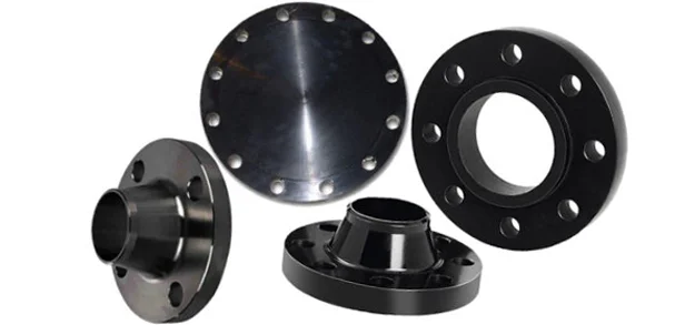 1729060905CarbonSteelLapJointFlange