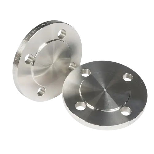 1729061908SS_Blind_Face_Flanges-removebg-preview