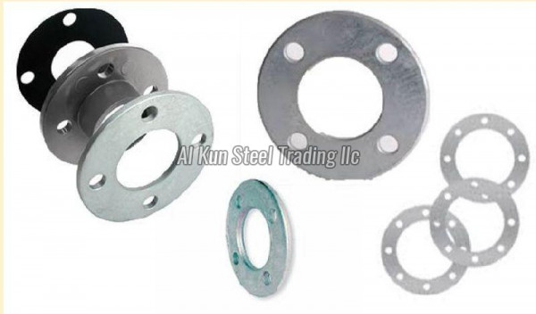 Backing Rings Flanges